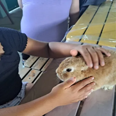 A person cuddling a bunny