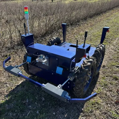 A precision spraying robot among the black currant bushes