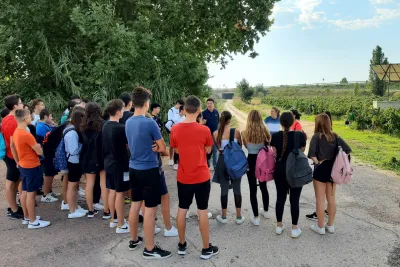 A group of young people listening to a person in a vineyard