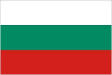 Bulgarian Network Logo