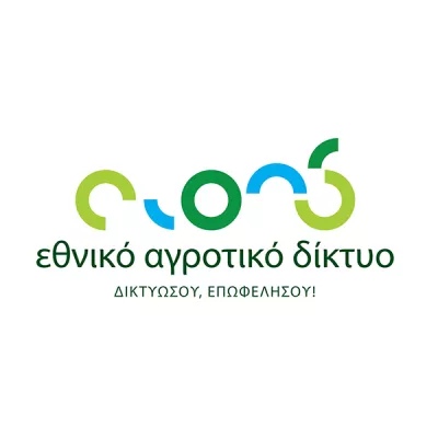 Cyprus Network Logo