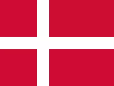 Danish Network Logo