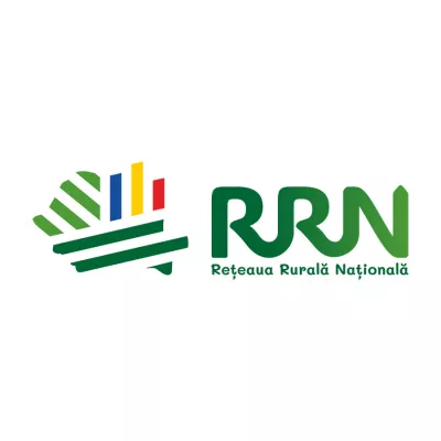 Romanian Network Logo