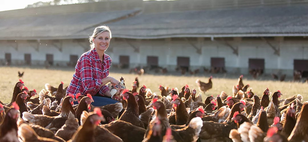 A woman sitting on a chair surrounded by chickens for the EU CAP Network Workshop 'Animal welfare and innovation'- 02