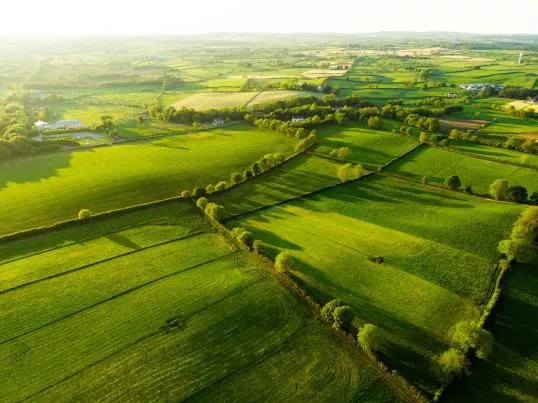 Landscape features and biodiversity Thematic Group meets