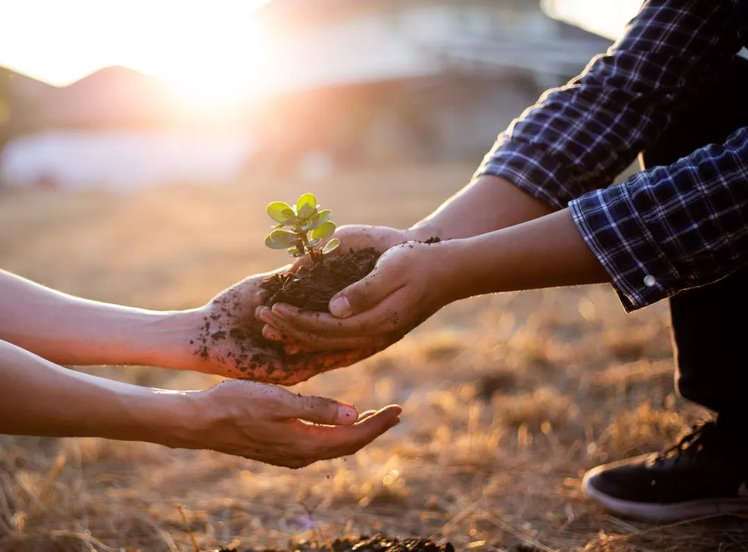 A person holding a small plant