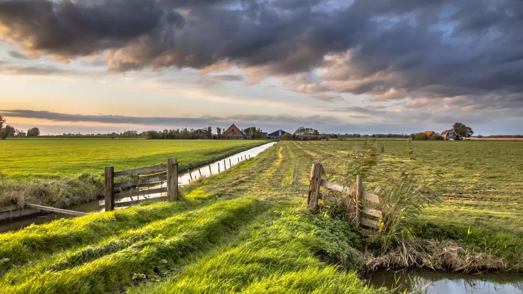 Field with fence