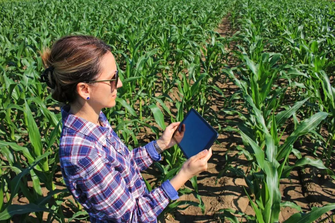 a woman holding a tablet in a corn  field in the framework of 'Investing in gender and rural women'