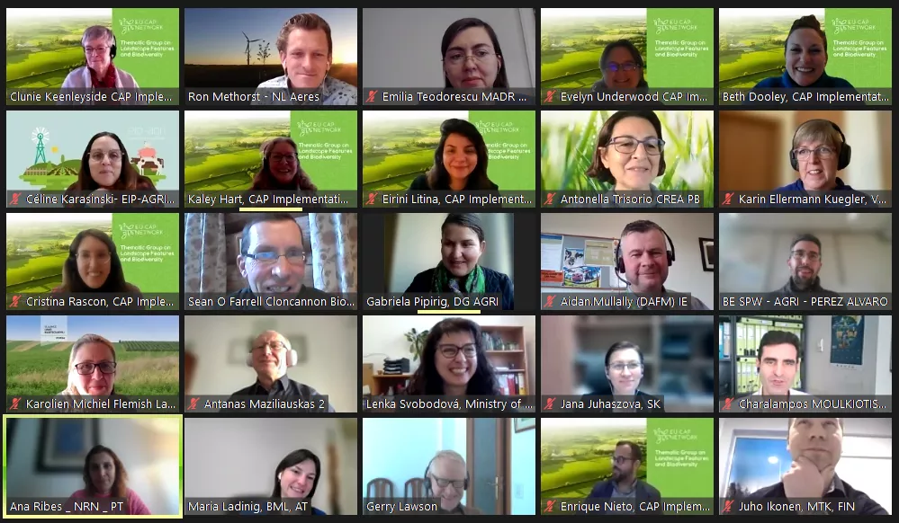 Thematic Group on Landscape Features and Biodiversity
