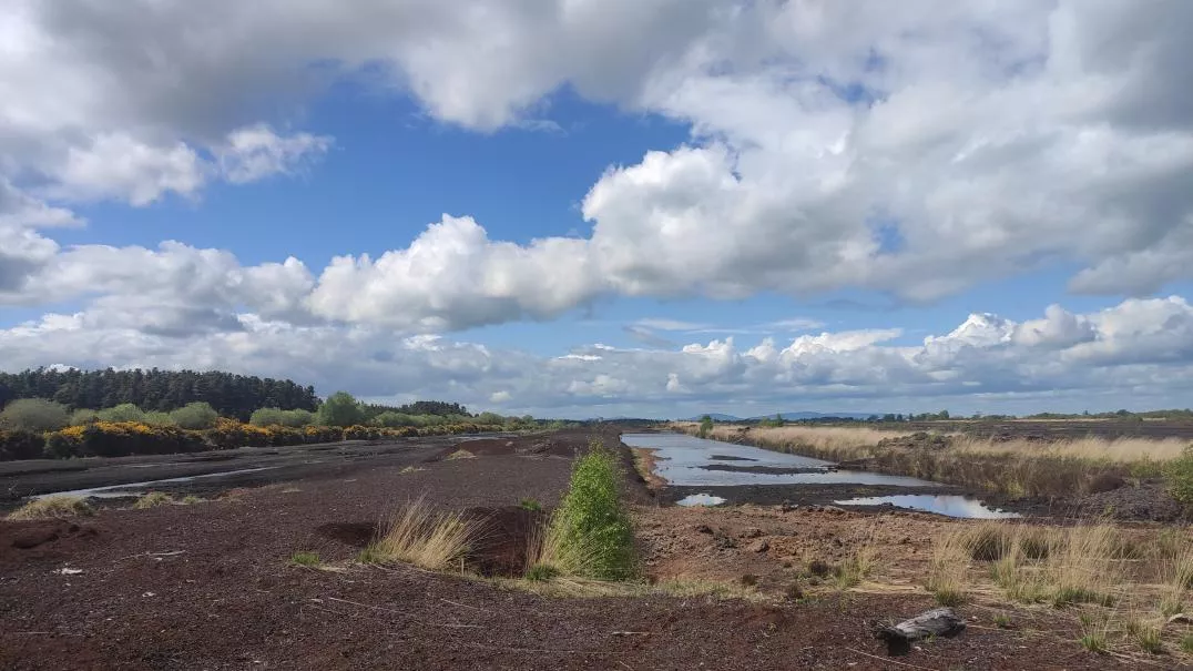 Peatlands sites