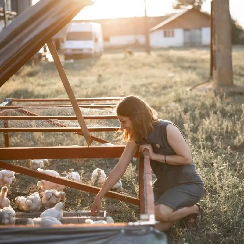 A woman kneeling on grass with chickens in a cage