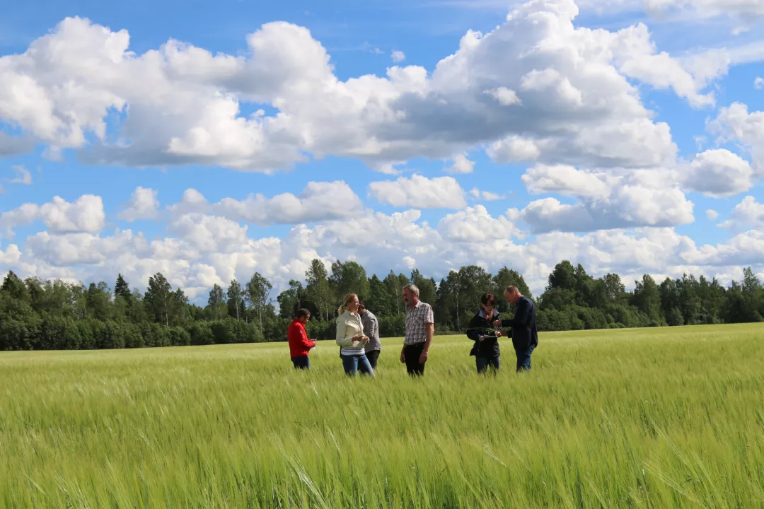 a group of people standing in a green wheat field for the EU CAP Network Brokerage