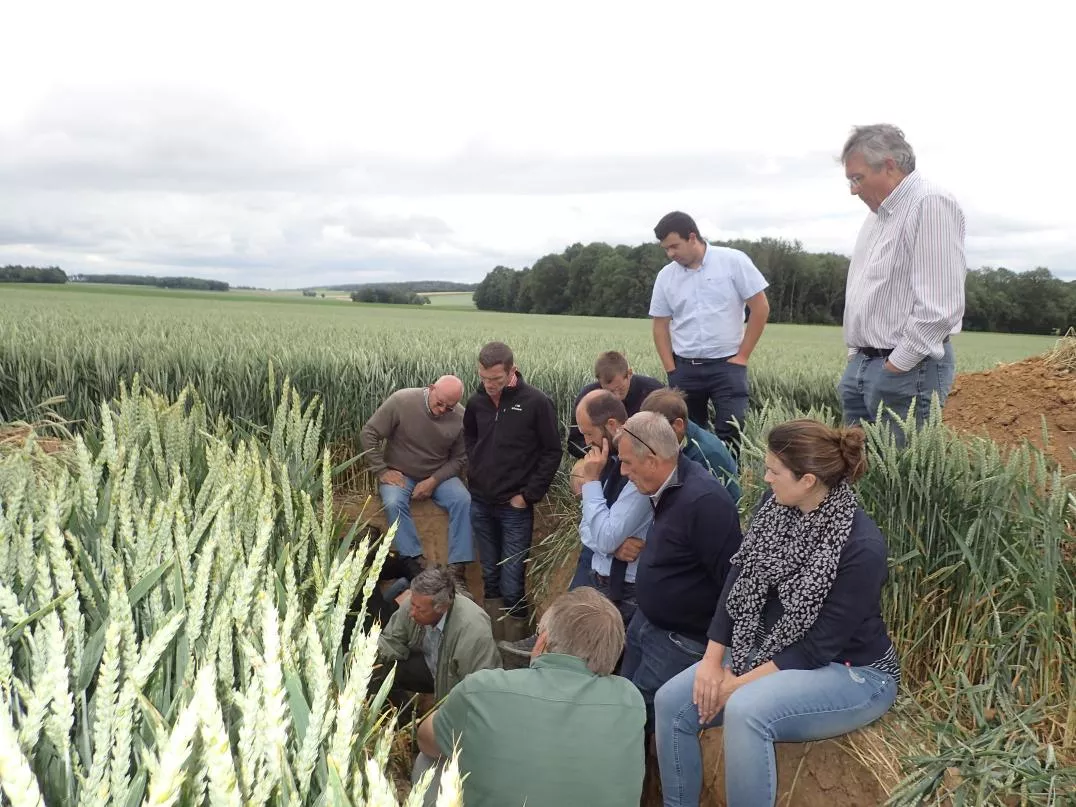 A group of walloon farmers in a field