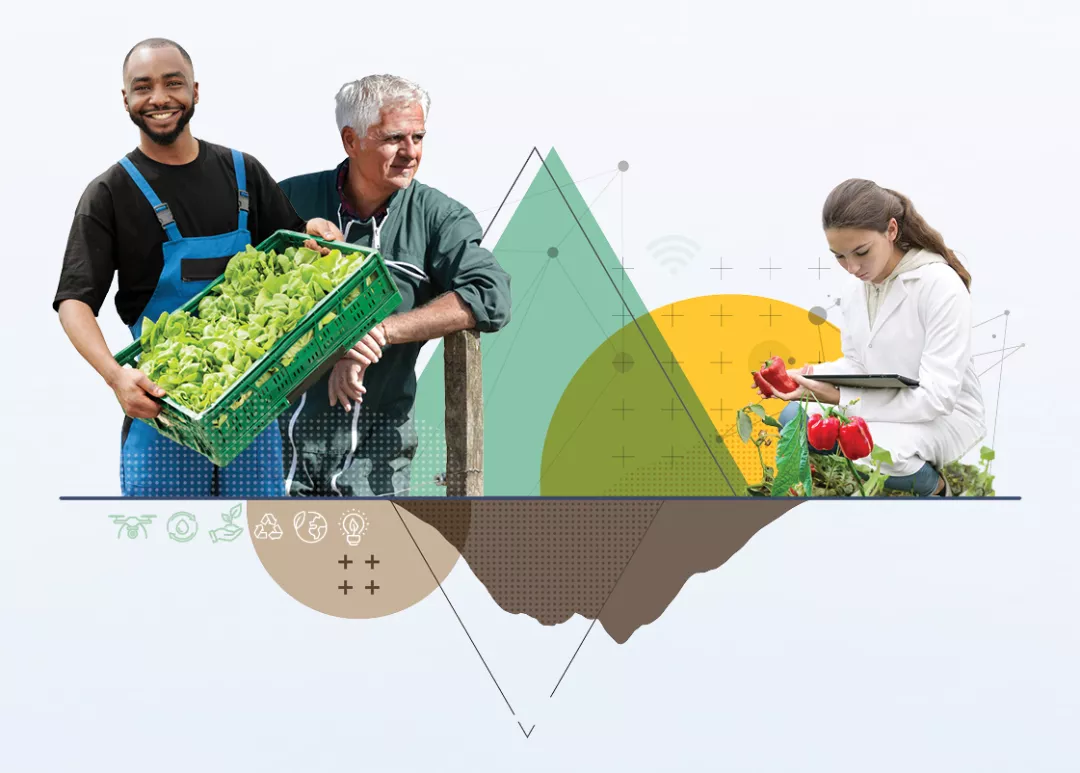 image of a group of people holding baskets of fruit for the Vocational education training