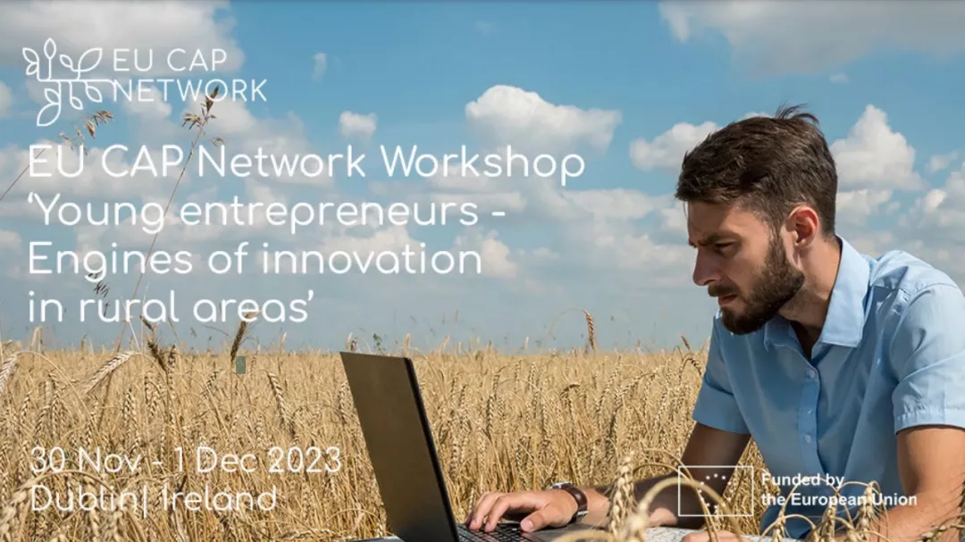panel of a man working on a laptop in a field for 2022 eu cap network ws young entrepreneurs