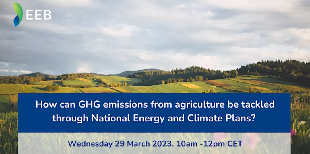 How can GHG emissions from agriculture be tackled via NECPs?