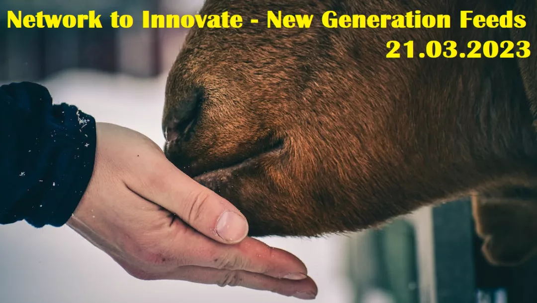 Network to Innovate: New Generation Feeds
