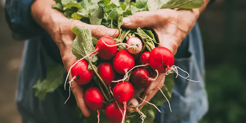 EU Organic awards 2023