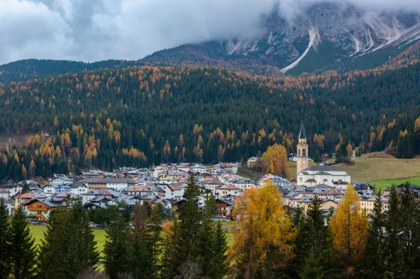 A village in a valley surrounded by a forest and with mountains in the horizon