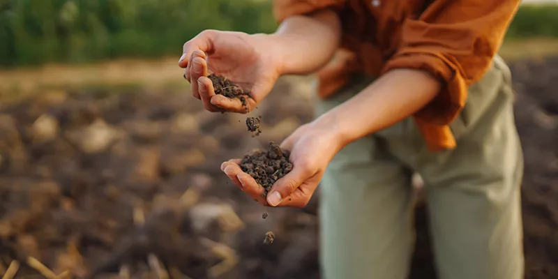 A Soil Deal for Europe - 126 M€ funding for 2023