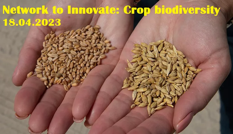 Network to innovate: Crop biodiversity