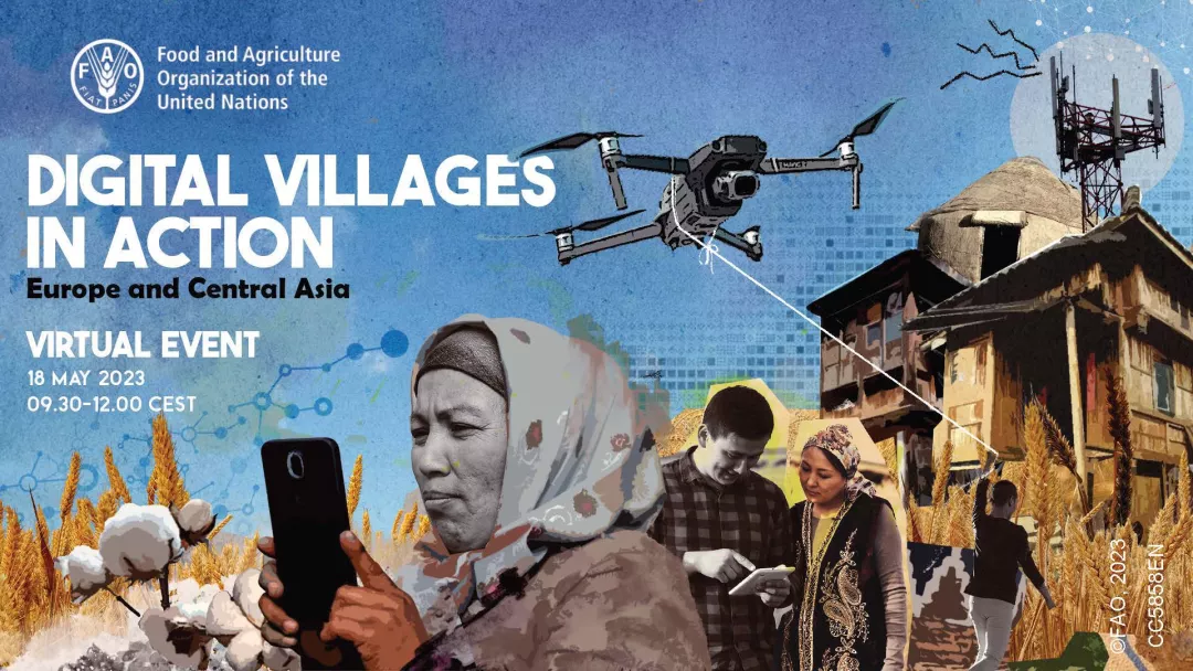 FAO event digital villages visual