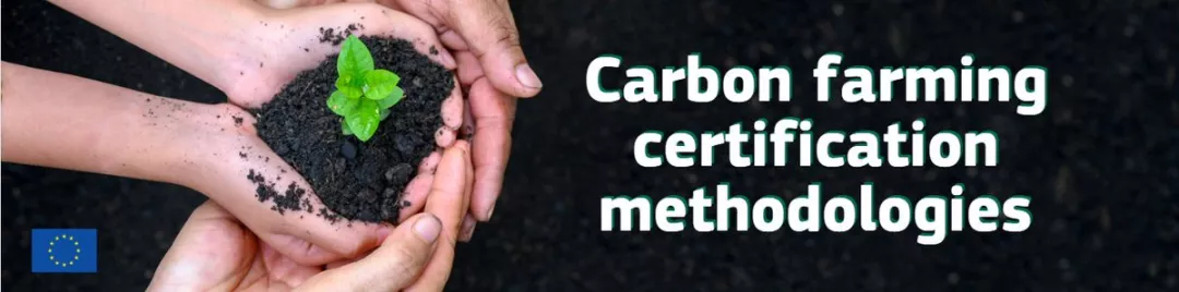 Hands holding some soil with a plant on it with the words "Carbon certification methodologies" written next to it