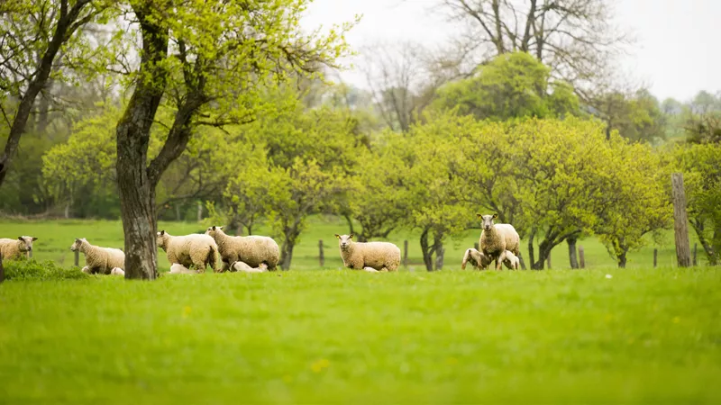 Agroecology