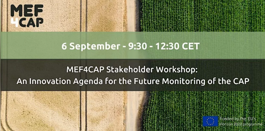 An Innovation Agenda for the Future Monitoring of the CAP