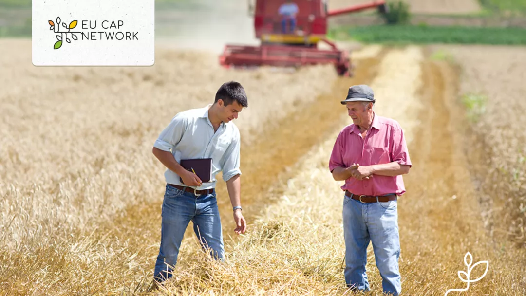 Two men talking on a field