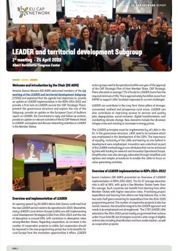 LEADER subgroup report cover
