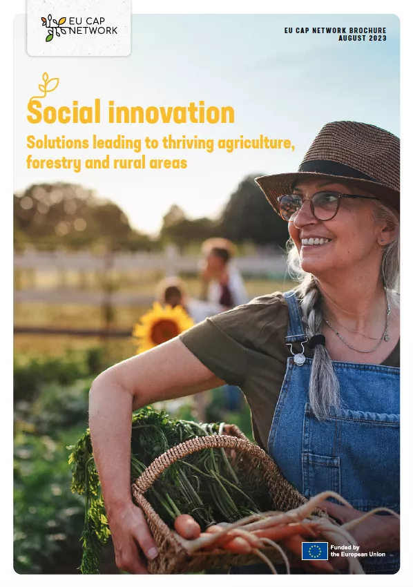 Cover Brochure Social Innovation EU CAP Network
