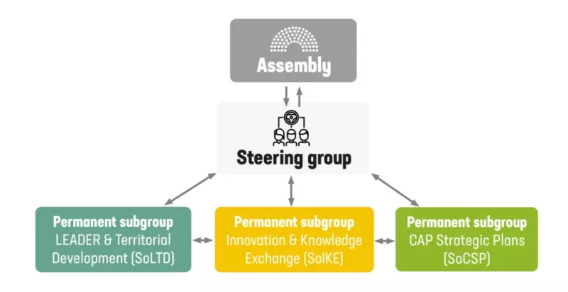 Steering group diagram