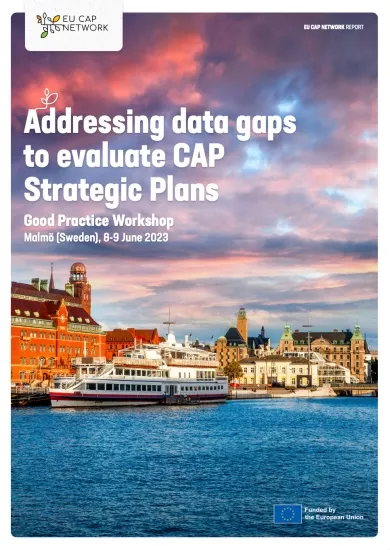 A picture of Malmö with the title "Addressing data gaps to evaluate CAP Strategic Plans" on it
