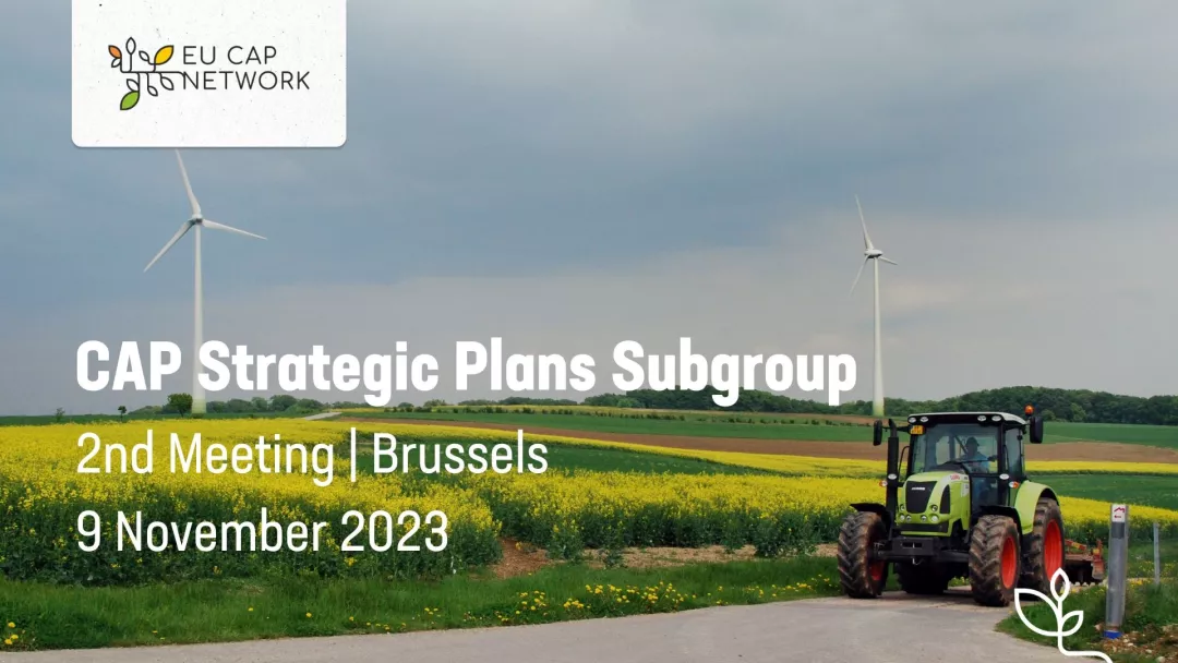 CAP Strategic Plans Subgroup