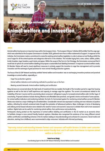 Cover Factsheet Animal welfare and innovation