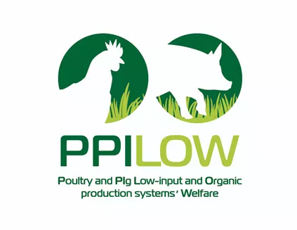 PPILOW logo