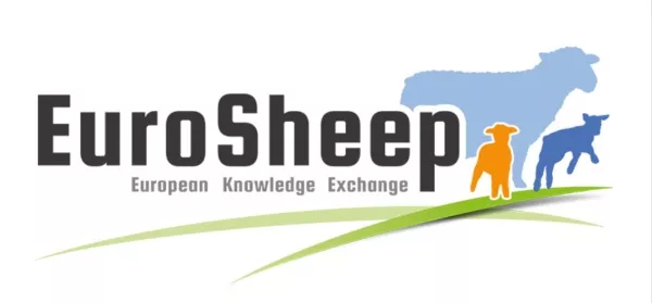 EuroSheep logo