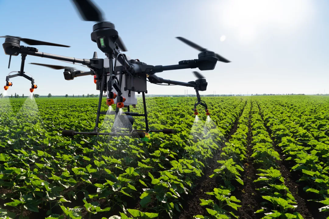Drone flying over a cultivated field