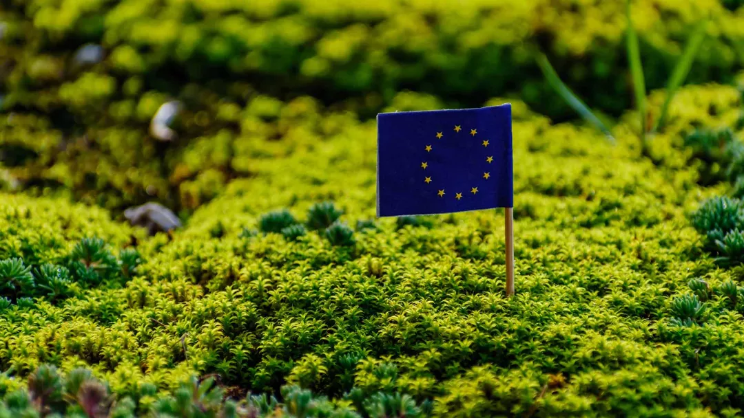 European union flag among fresh moss environment