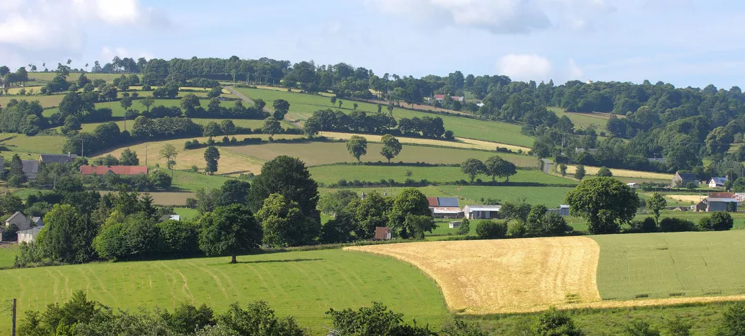 View of the country with trees and fields