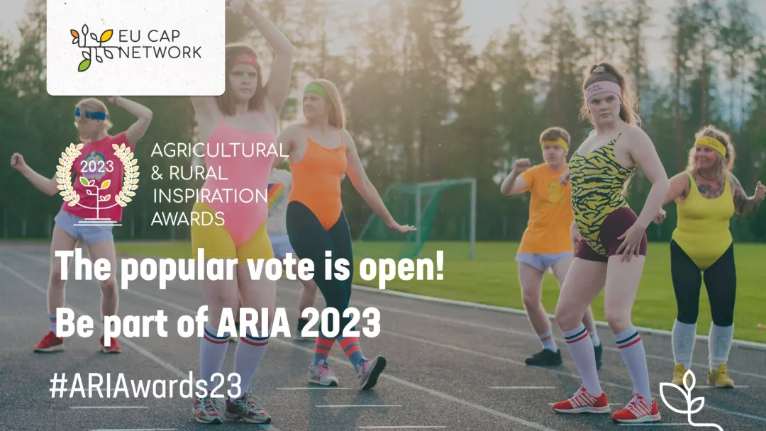 Invitation to vote for the ARIAwards