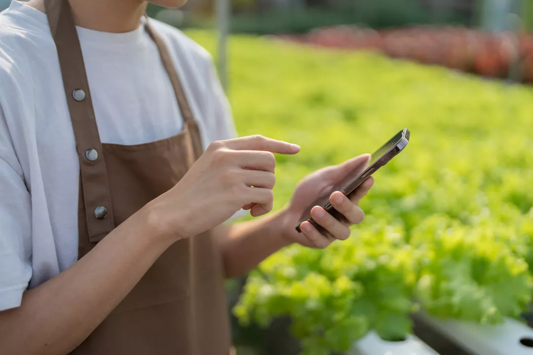 A person checking their phone on a field