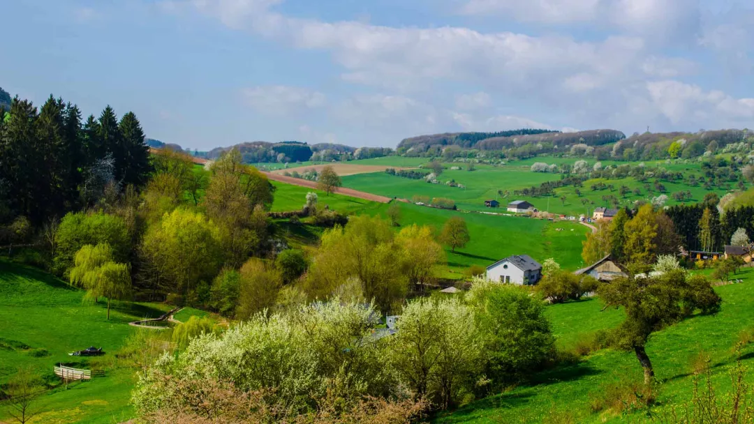 Typical countryside in luxembourg with small villages, forests, meadows and winding roads.