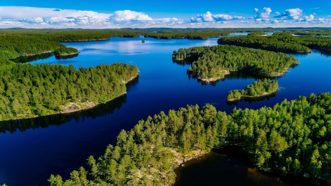 Aerial view of lakes and green forests on a sunny summer day in Finland.