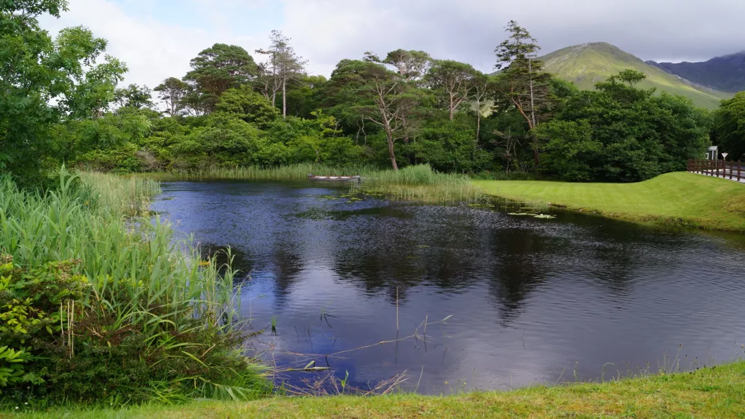 Pond on the Irish plain