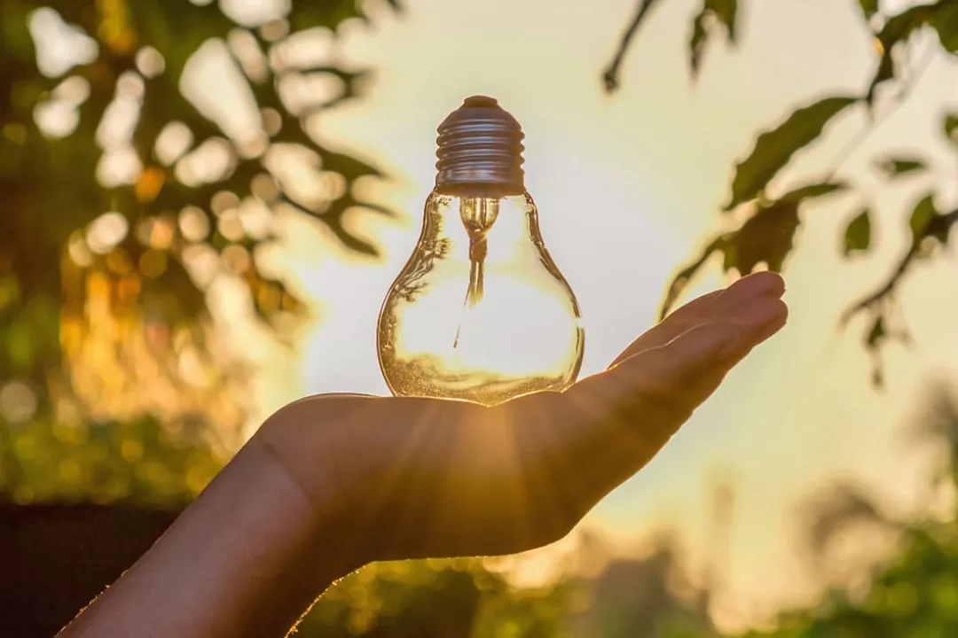 A hand holds a lighbulb signifying innovation