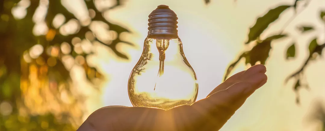 A hand holds a lighbulb signifying innovation