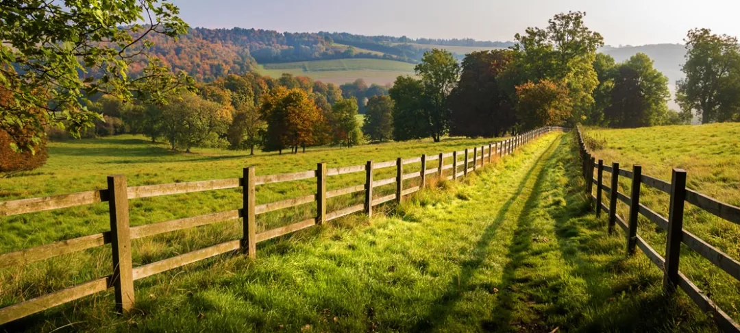 A fence in a field with trees