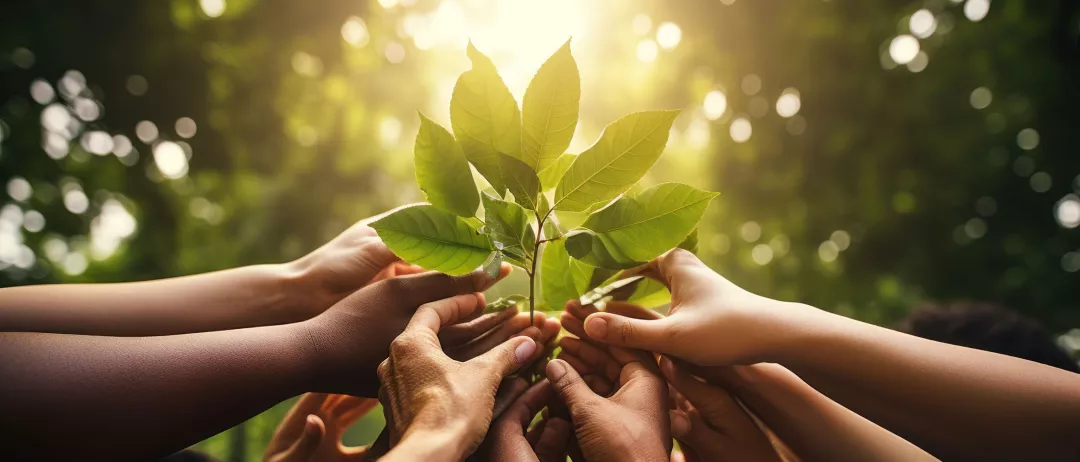 a group of hands holding a plant